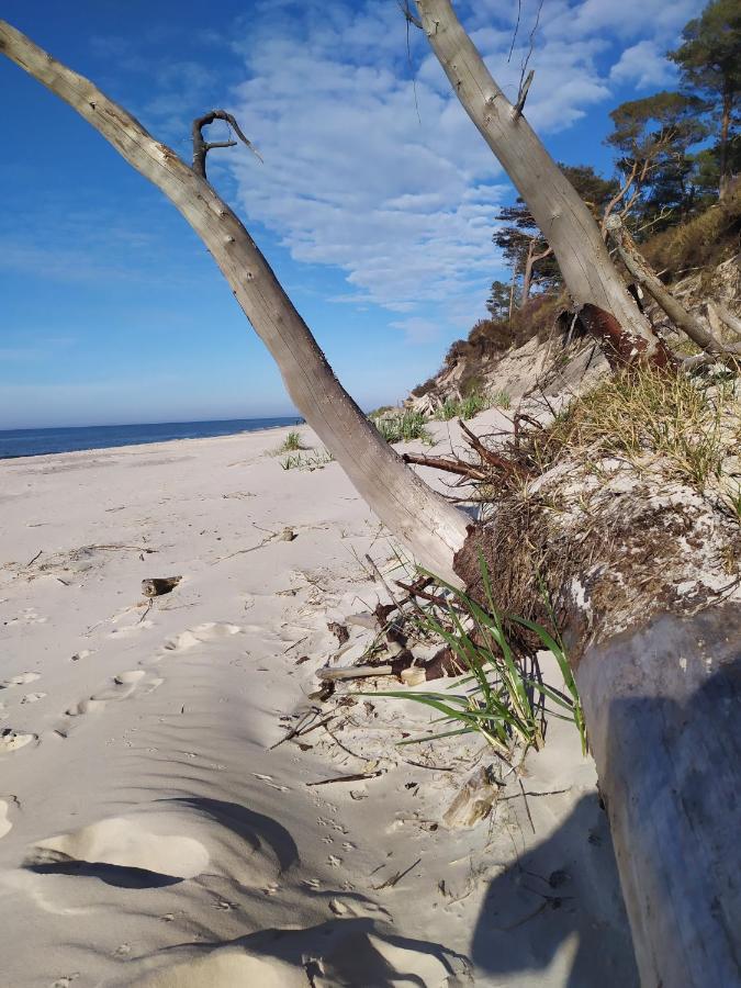 Biale Domki Kopalino Villa Exteriör bild